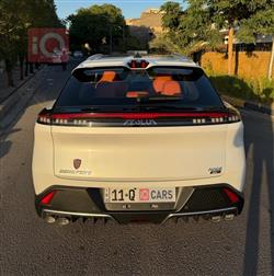 دونج فينج ماج